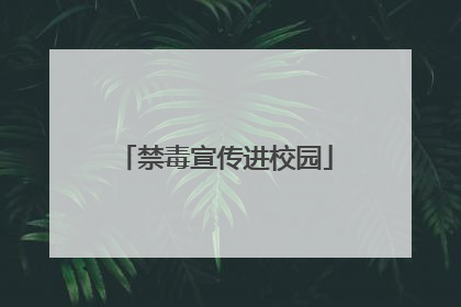 禁毒宣传进校园