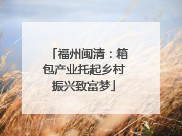 福州闽清：箱包产业托起乡村振兴致富梦