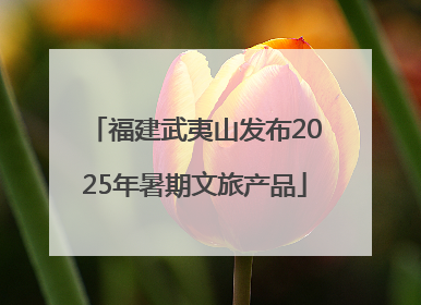福建武夷山发布2025年暑期文旅产品