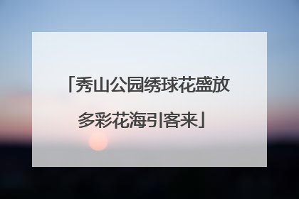 秀山公园绣球花盛放 多彩花海引客来
