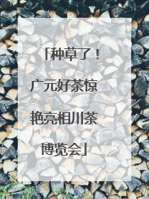 种草了！广元好茶惊艳亮相川茶博览会