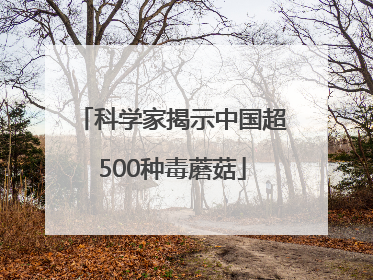 科学家揭示中国超500种毒蘑菇
