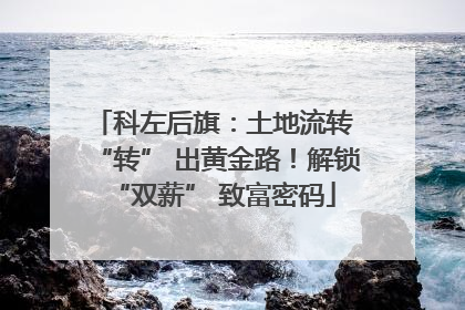 科左后旗：土地流转 “转” 出黄金路！解锁 “双薪” 致富密码