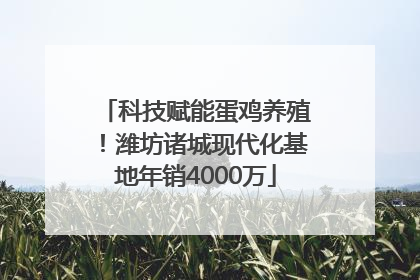 科技赋能蛋鸡养殖！潍坊诸城现代化基地年销4000万