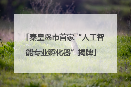 秦皇岛市首家“人工智能专业孵化器”揭牌