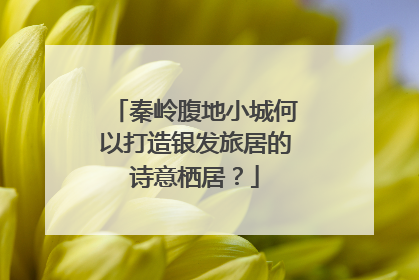 秦岭腹地小城何以打造银发旅居的诗意栖居？
