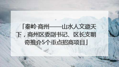 秦岭·商州——山水人文邀天下，商州区委副书记、区长支朝奇推介5个重点招商项目