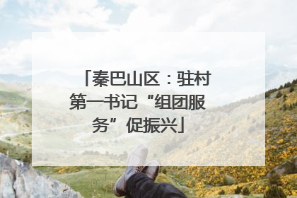 秦巴山区：驻村第一书记“组团服务”促振兴