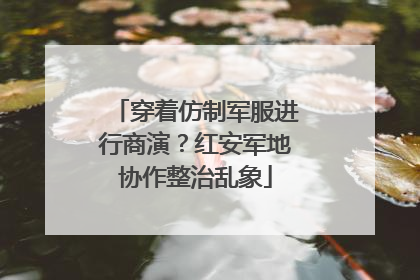 穿着仿制军服进行商演？红安军地协作整治乱象