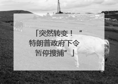 突然转变！“特朗普政府下令暂停搜捕”