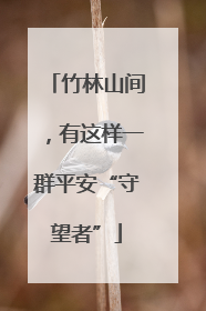竹林山间，有这样一群平安“守望者”