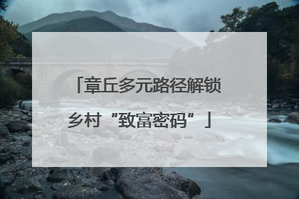 章丘多元路径解锁乡村“致富密码”