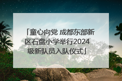 童心向党 成都东部新区石盘小学举行2024级新队员入队仪式