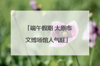 端午假期 太原市文博场馆人气旺