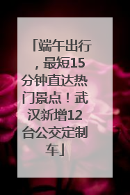 端午出行，最短15分钟直达热门景点！武汉新增12台公交定制车