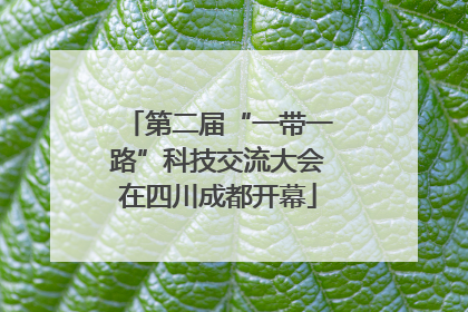 第二届“一带一路”科技交流大会在四川成都开幕