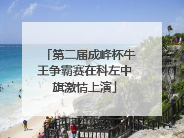 第二届成峰杯牛王争霸赛在科左中旗激情上演