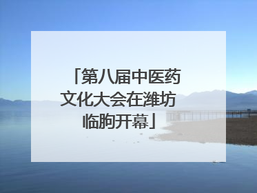 第八届中医药文化大会在潍坊临朐开幕