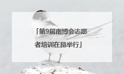 第9届南博会志愿者培训在昆举行