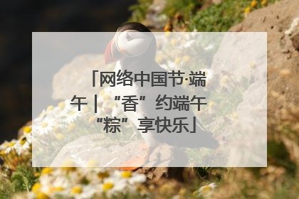 网络中国节·端午｜“香”约端午 “粽”享快乐