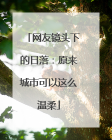 网友镜头下的日落：原来城市可以这么温柔