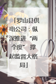 罗山县供电公司：纵深推进“两个度” 撑起监督大格局