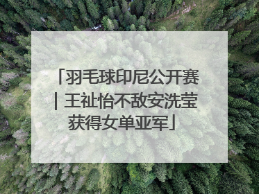 羽毛球印尼公开赛｜王祉怡不敌安洗莹 获得女单亚军
