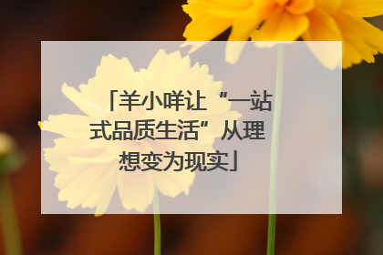 羊小咩让“一站式品质生活”从理想变为现实