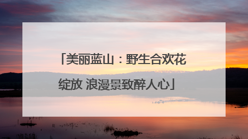 美丽蓝山：野生合欢花绽放 浪漫景致醉人心