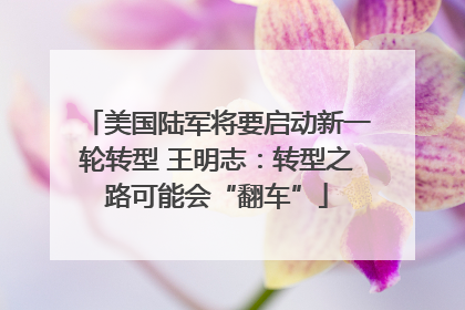 美国陆军将要启动新一轮转型 王明志：转型之路可能会“翻车”