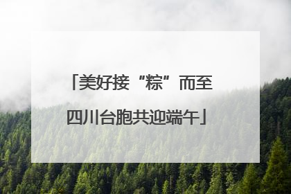 美好接“粽”而至 四川台胞共迎端午