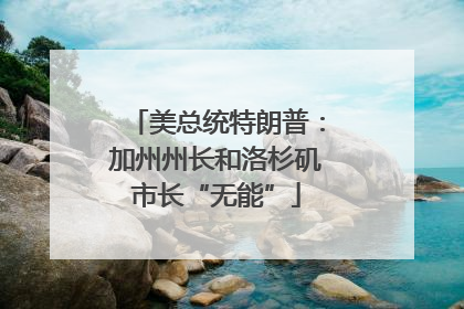 美总统特朗普：加州州长和洛杉矶市长“无能”
