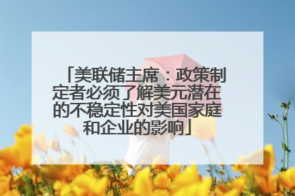 美联储主席：政策制定者必须了解美元潜在的不稳定性对美国家庭和企业的影响