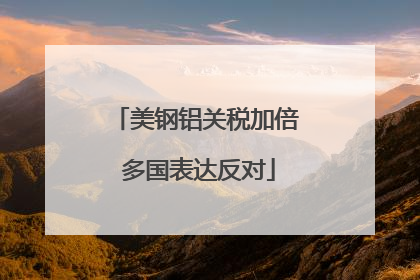 美钢铝关税加倍 多国表达反对
