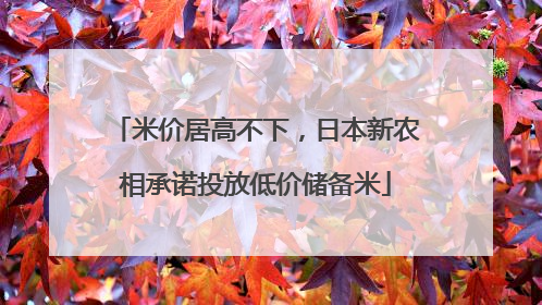 米价居高不下，日本新农相承诺投放低价储备米