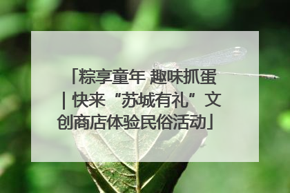 粽享童年 趣味抓蛋｜快来“苏城有礼”文创商店体验民俗活动