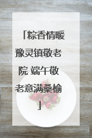 粽香情暖豫灵镇敬老院 端午敬老意满桑榆