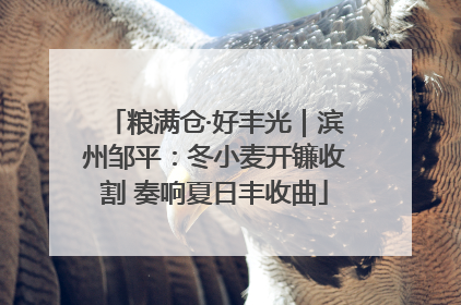 粮满仓·好丰光｜滨州邹平：冬小麦开镰收割 奏响夏日丰收曲