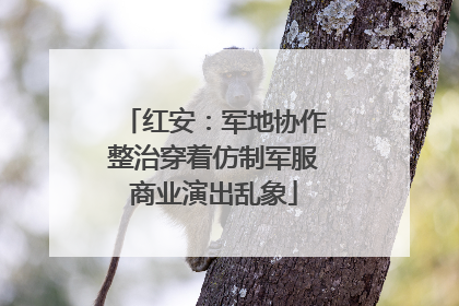 红安：军地协作整治穿着仿制军服商业演出乱象