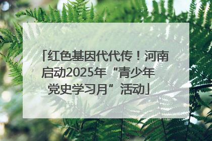 红色基因代代传！河南启动2025年“青少年党史学习月”活动
