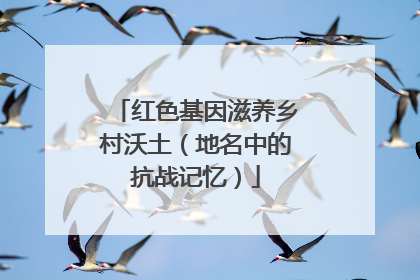 红色基因滋养乡村沃土（地名中的抗战记忆）