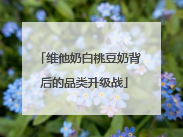 维他奶白桃豆奶背后的品类升级战