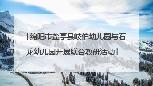 绵阳市盐亭县岐伯幼儿园与石龙幼儿园开展联合教研活动