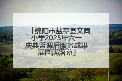 绵阳市盐亭县文同小学2025年六一庆典暨课后服务成果展圆满落幕