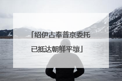 绍伊古奉普京委托已抵达朝鲜平壤