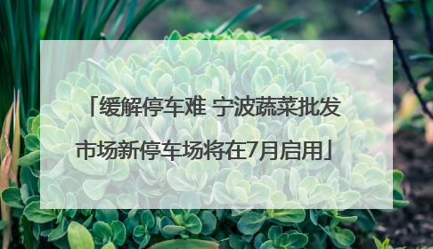 缓解停车难 宁波蔬菜批发市场新停车场将在7月启用