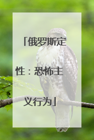 俄罗斯定性：恐怖主义行为