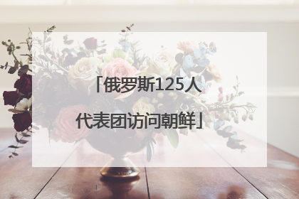 俄罗斯125人代表团访问朝鲜