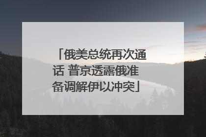 俄美总统再次通话 普京透露俄准备调解伊以冲突