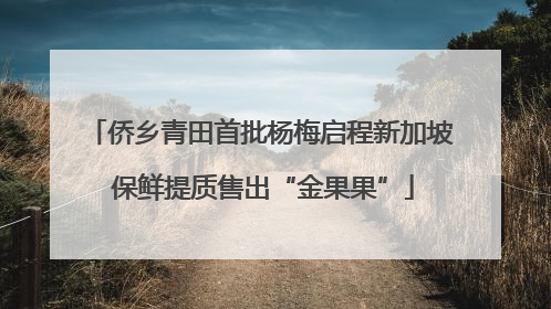 侨乡青田首批杨梅启程新加坡 保鲜提质售出“金果果”